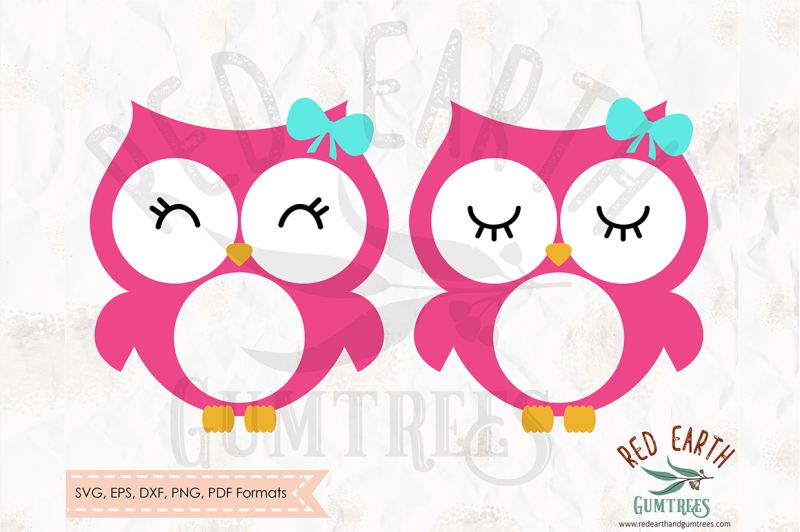 Owl With Lashes Circle Monogram Frame Svg Png Eps Dxf Pdf Formats By Svgbrewerydesigns Thehungryjpeg Com