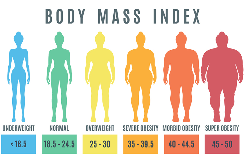 Female body mass index. Normal weight obesity and overweight illustrat ...