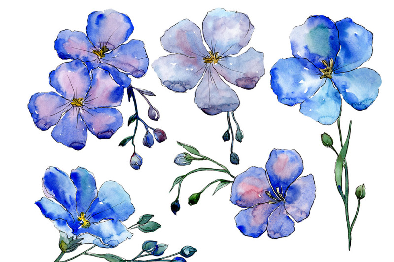 Wildflower blue flax PNG watercolor set By MyStocks | TheHungryJPEG