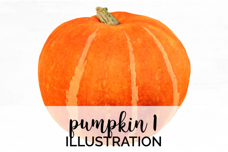 Pumpkin Clipart By Enliven Designs | TheHungryJPEG