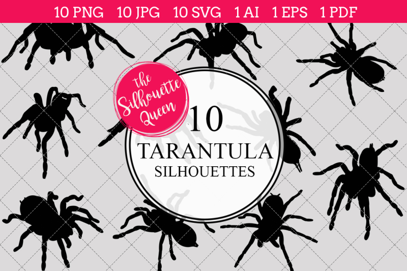 Tarantula Silhouette Vector By The Silhouette Queen | TheHungryJPEG