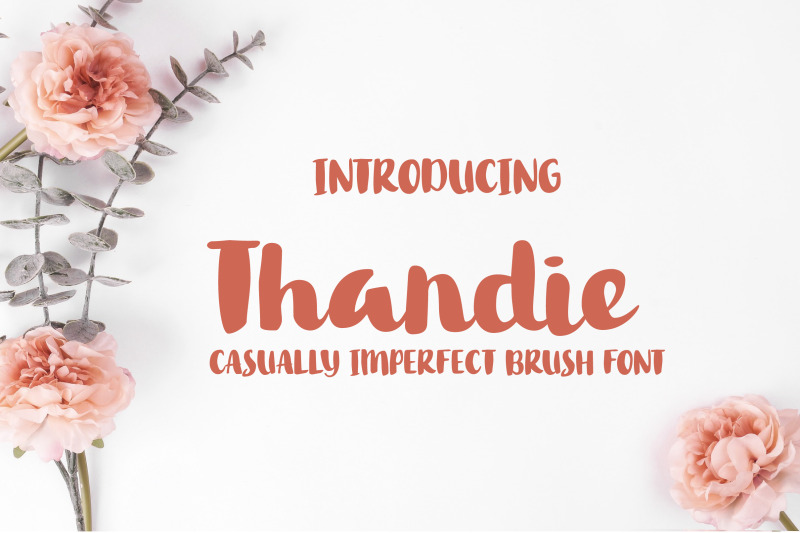 Thandie Script Font By Sunday Nomad Thehungryjpeg Com