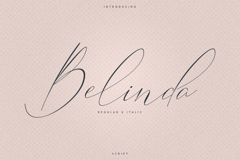 Belinda Script Regular And Italic By Vpcreativeshop Thehungryjpeg Com