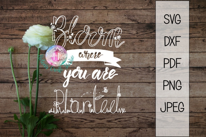 Download Free Bloom Where You Are Planted Svg Dxf Png Pdf And Jpeg Cutting File Crafter File