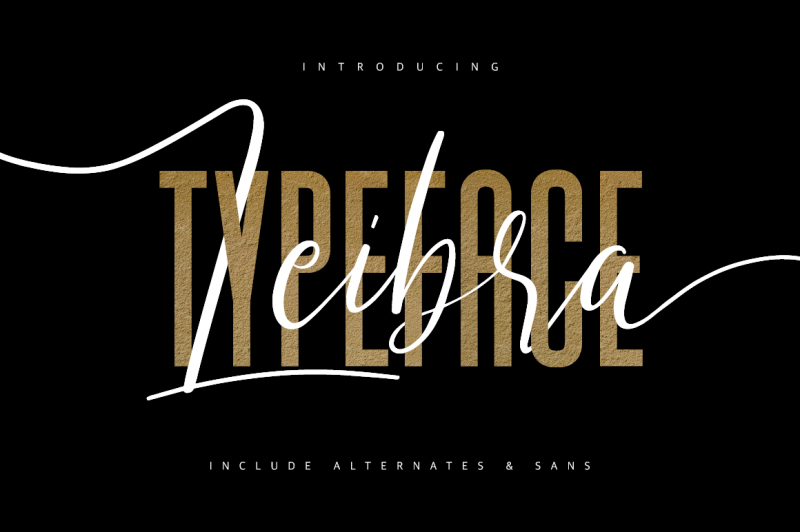 Leibra Typeface By Maulana Creative | TheHungryJPEG