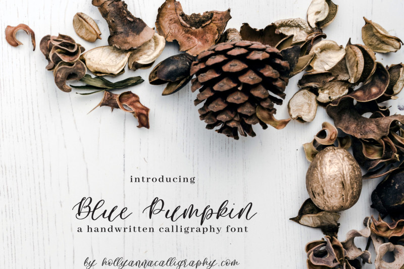 Blue Pumpkin By Holly Anna Calligraphy Thehungryjpeg Com