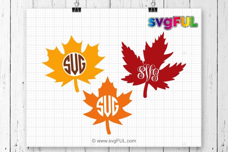 Free Fall Leaf Monogram Svg Maple Leaf Svg Fall Leaf Svg Thanksgiving Crafter File Download All Free Svg Files Cut