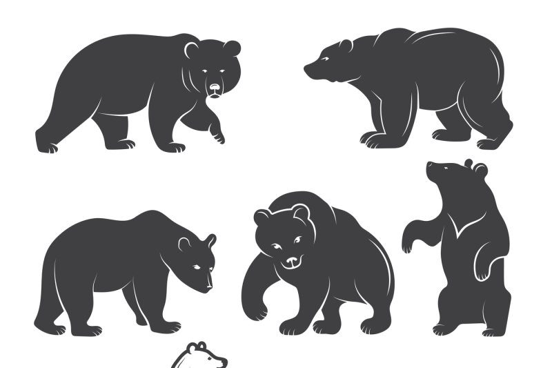 Illustrations of bears. Vector animals set By ONYX | TheHungryJPEG