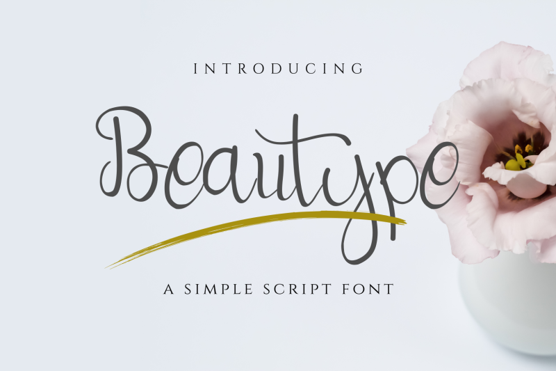 Beautype Simple Script Font By Omotu Thehungryjpeg Com