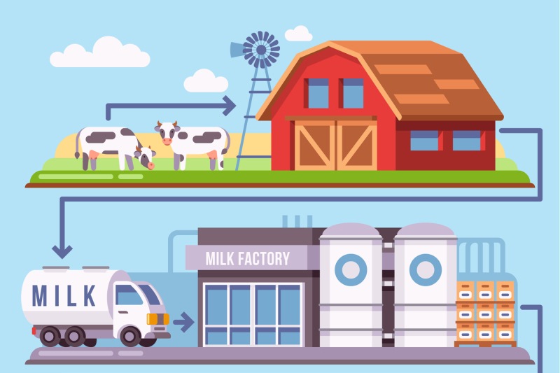 Milk production processing from a dairy farm through factory to consum By  Microvector