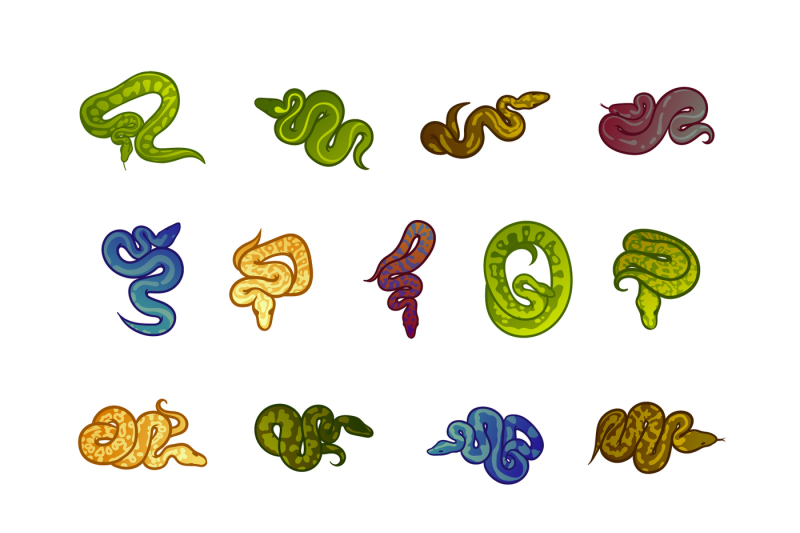 Snakes illustration set. Colored, line and silhouette styles By Artha ...