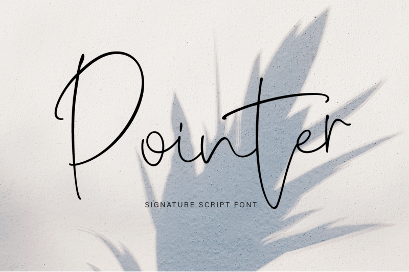 Pointer By Larin Type Co Thehungryjpeg Com