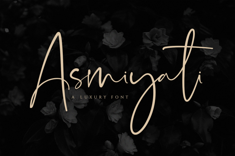 Asmiyati A Luxury Script Font By Sameeh Store Thehungryjpeg Com