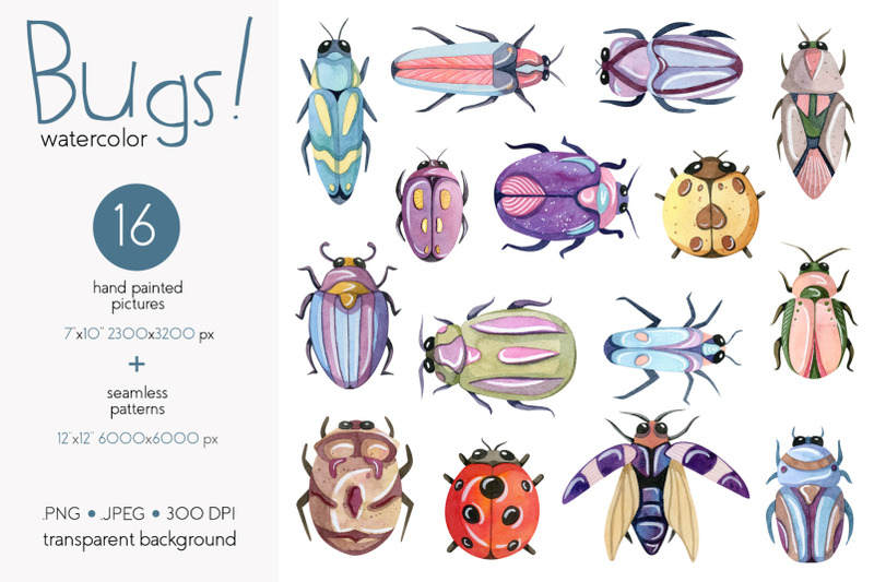 Watercolor Bugs Insects Collection By Julia M Watercolor Thehungryjpeg Com