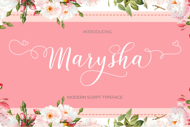 Marysha Script By Typehill Thehungryjpeg Com