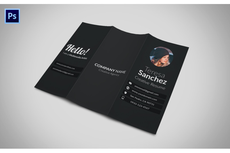  Trifold Resume Brochure  By David Go Graphics 