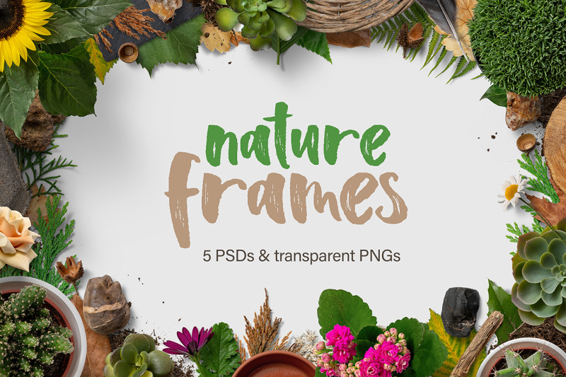 5 Nature Frame Backgrounds By h3design | TheHungryJPEG