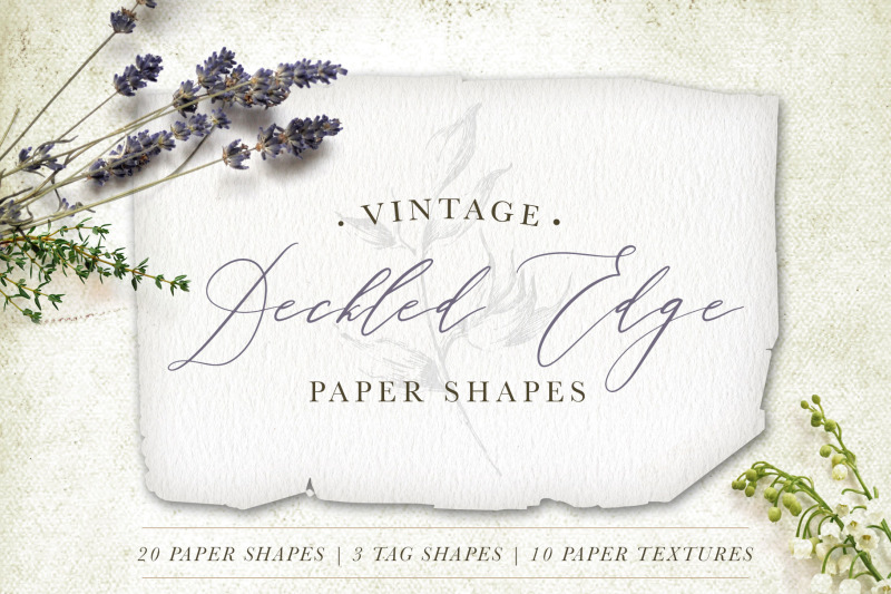 Deckled Edge Paper Shapes By Avalon Rose Design Thehungryjpeg Com