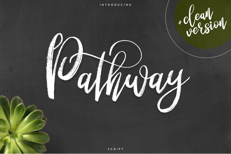 Pathway Script 2 Styles By Vpcreativeshop Thehungryjpeg Com