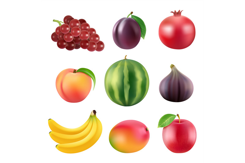 Realistic vector illustrations of various fruits By ONYX | TheHungryJPEG