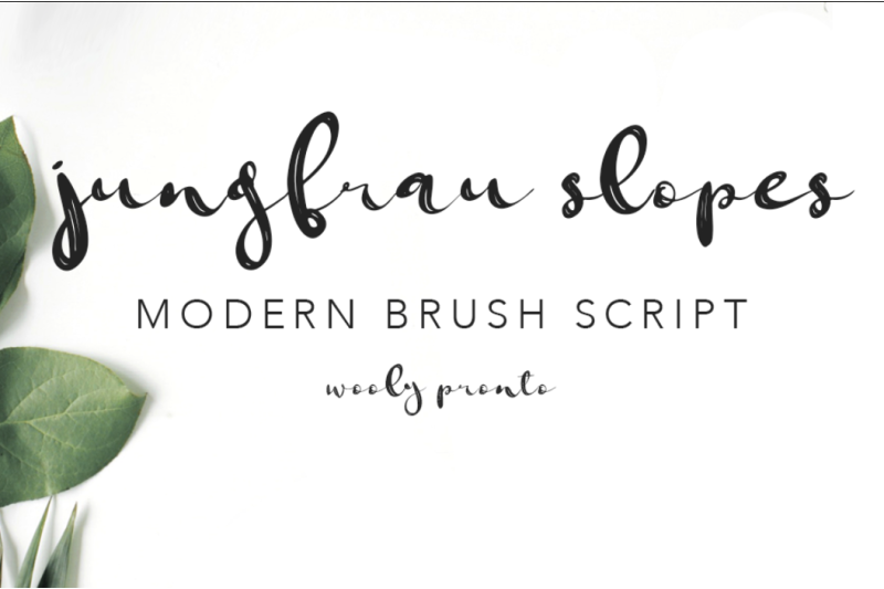 Jungfrau Modern Calligraphy Brush Script By Wooly Pronto Thehungryjpeg Com