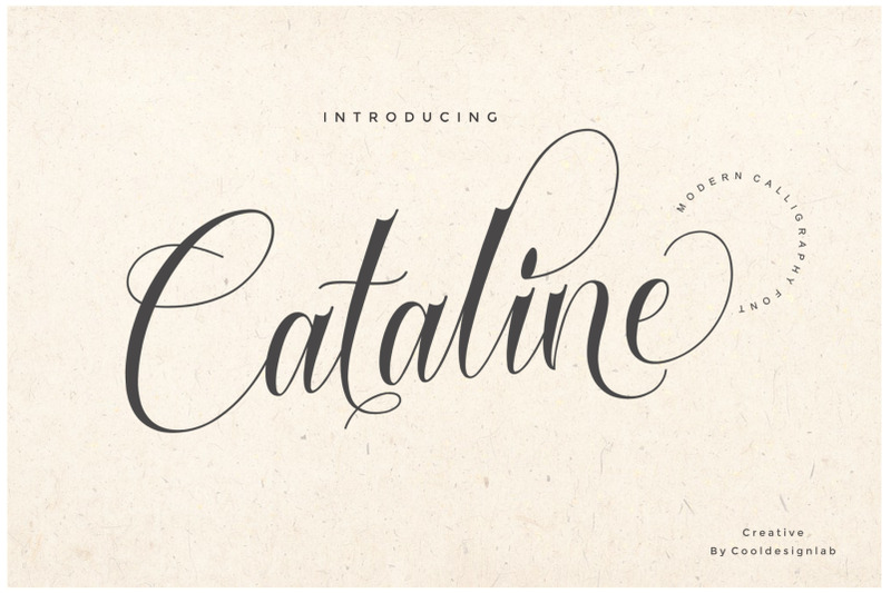 Cataline Script By Cooldesignlab Thehungryjpeg Com