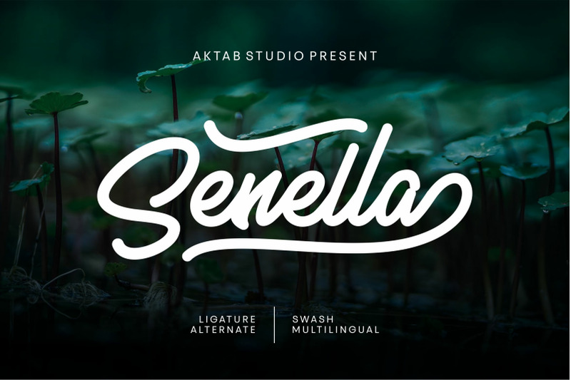 Senella Script Font By Aktab Studio Thehungryjpeg Com
