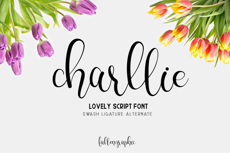 Charllie Lovely Script Font By Vava Thefallen Thehungryjpeg Com