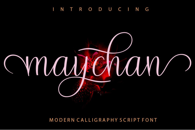 Maychan By Encolab Thehungryjpeg Com