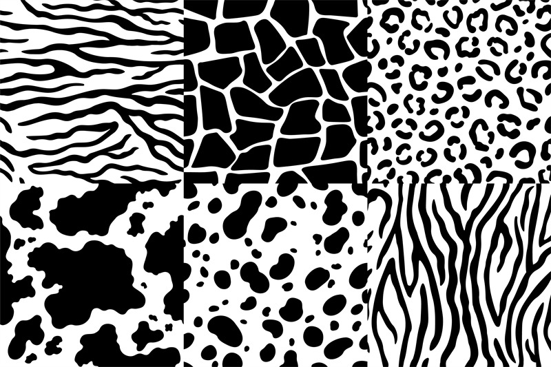 Zebra Print, Zebra Spots, Zebra Print Patter -  Canada