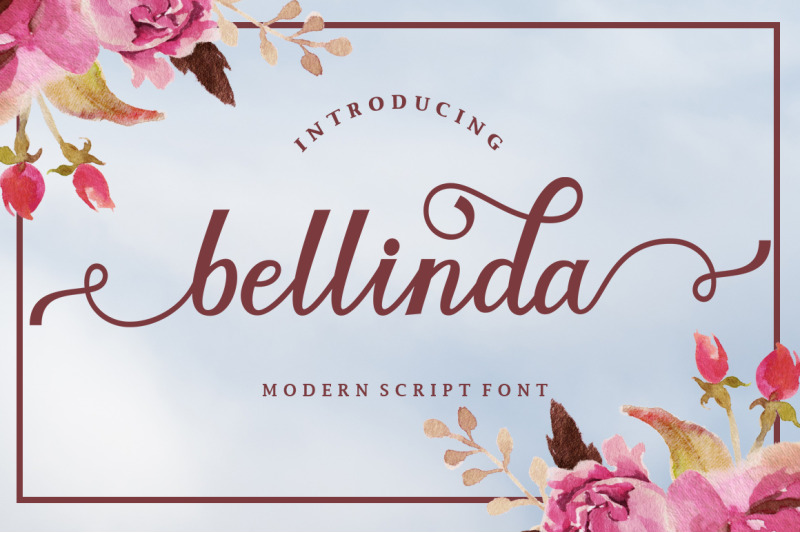 Bellinda Script By Madjack Studio Thehungryjpeg Com