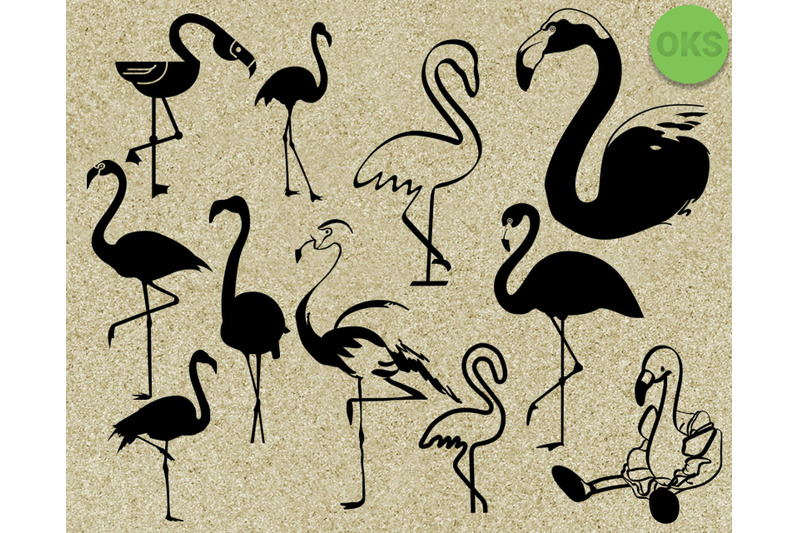 Flamingo Svg Svg Files Vector Clipart Cricut Download By Crafteroks Thehungryjpeg Com