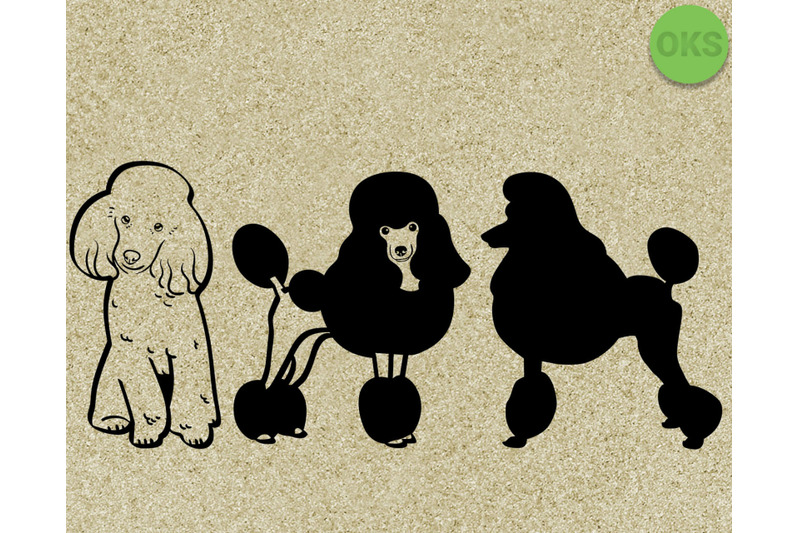 Download poodle svg, svg files, vector, clipart, cricut, download By CrafterOks | TheHungryJPEG.com