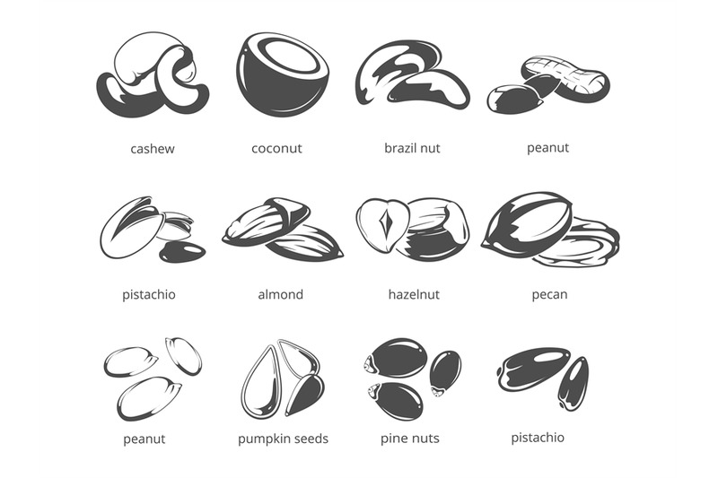 Nuts isolated on white background - big nuts collection By Microvector ...