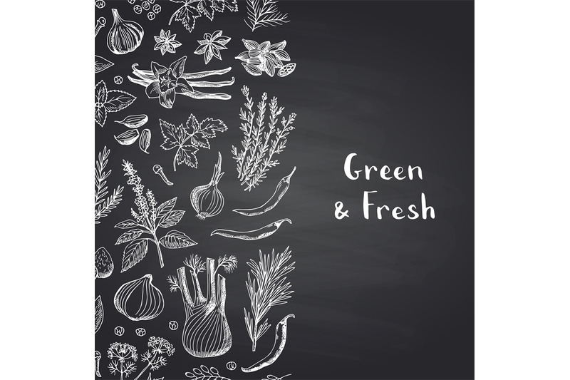 Vector Hand Drawn Herbs And Spices On Black Chalkboard Background With By Onyx Thehungryjpeg Com