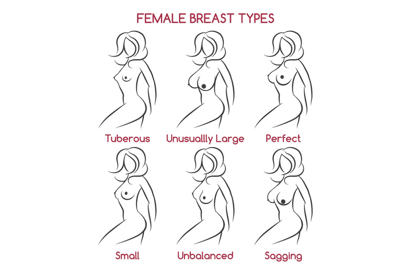 Female Breast Types By Olena1983