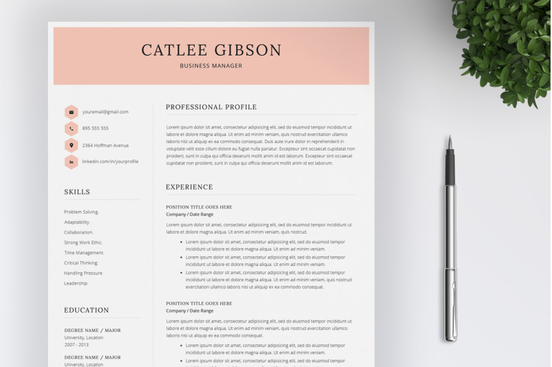 Word Resume Template By SalientResume | TheHungryJPEG