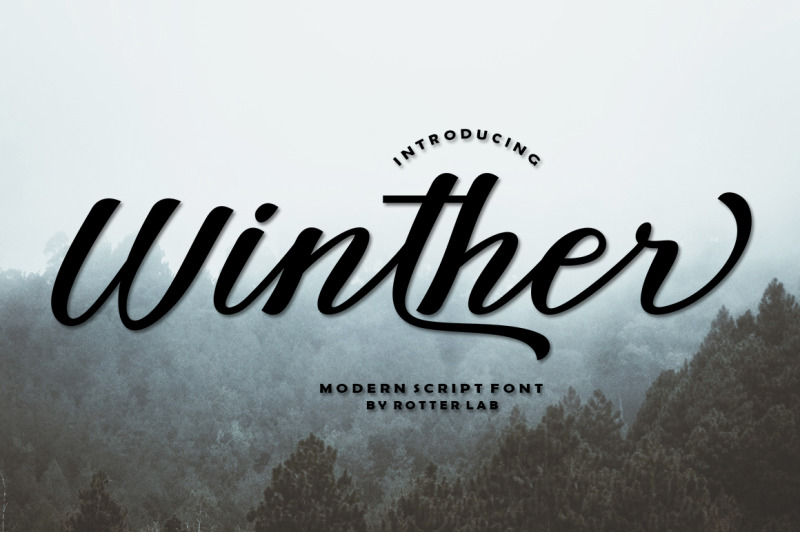 Winther By Rotterlab Studio Thehungryjpeg Com