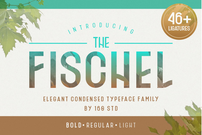 Fischel Typeface Family By 160 Studio Thehungryjpeg Com