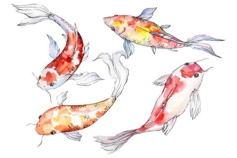 Goldfish-2 Watercolor png By MyStocks | TheHungryJPEG