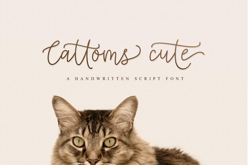 Cattoms Cute Script Fonts By Wandani Creative Thehungryjpeg Com