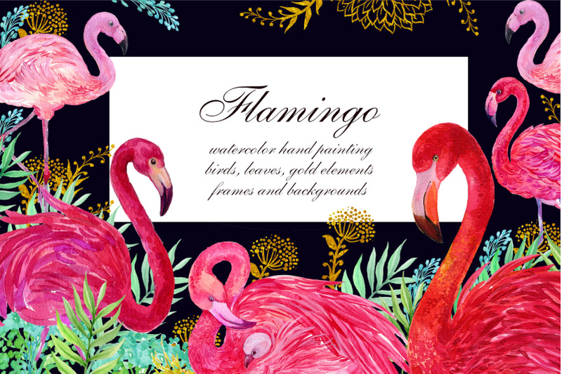 Flamingo Birds Clipart Watercolor Illustration By World Illustrations Thehungryjpeg Com