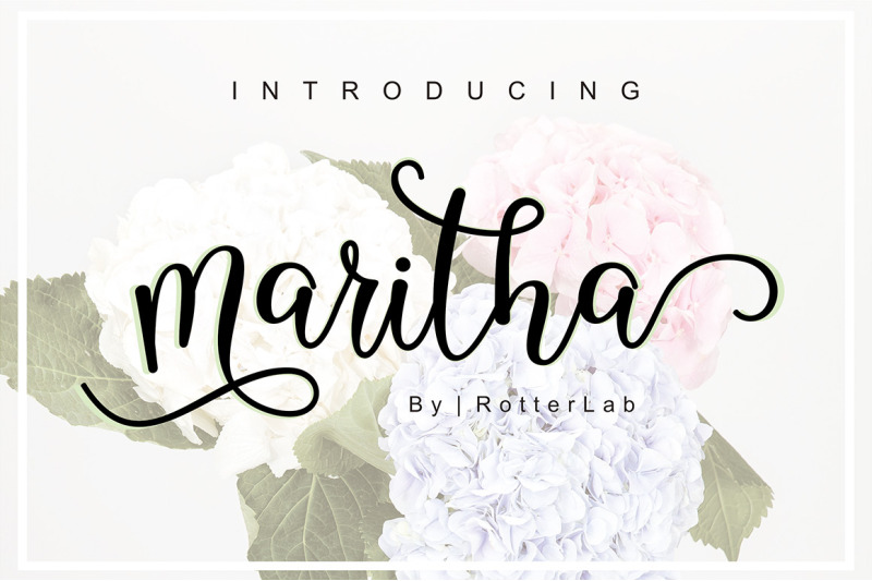Maritha Script By Rotterlab Studio Thehungryjpeg Com