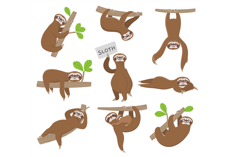 rainforest sloth clip art