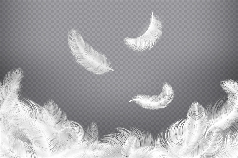 angel feather black and white