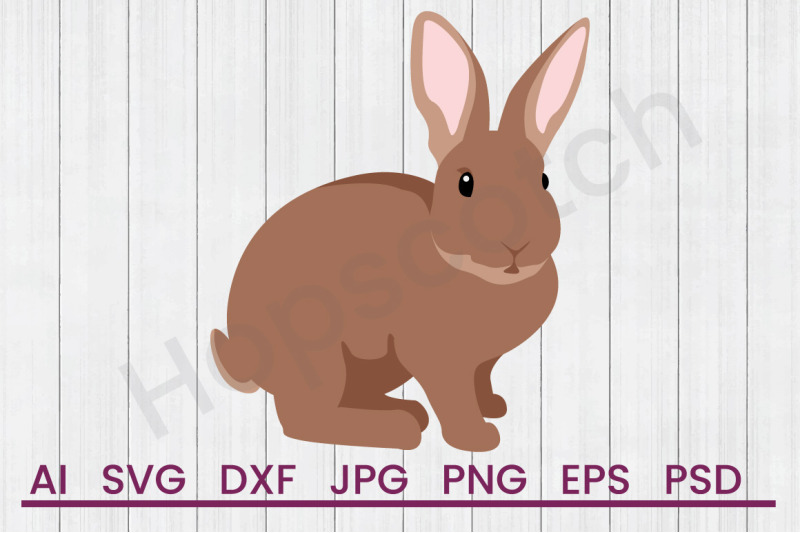 Bunny Rabbit Svg File Dxf File By Hopscotch Designs Thehungryjpeg Com
