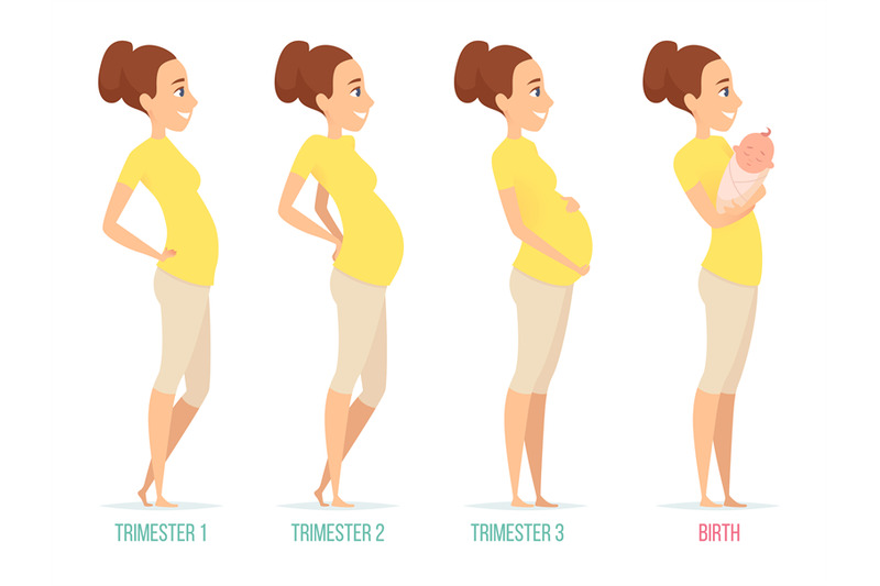 Pregnancy stages. Happy mom with newborn child female pregnancy trimes ...