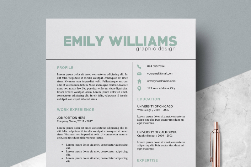 Resume Template / Modern CV Templates - Emily By LucaTheme | TheHungryJPEG