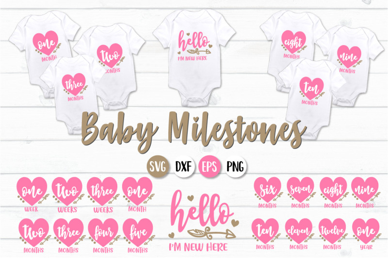 Baby Girl Milestones Svg Png Dxf Eps By Craft Pixel Perfect Thehungryjpeg Com