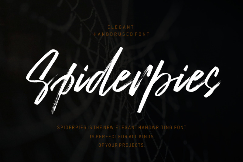 Spiderpies By Lucky Type Thehungryjpeg Com